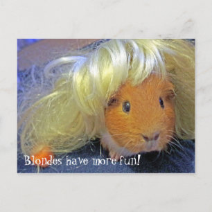 cavia ' s met blonde pruik briefkaart