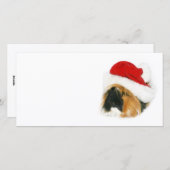 Cavia Santa Feestdagenkaart (Voorkant / Achterkant)