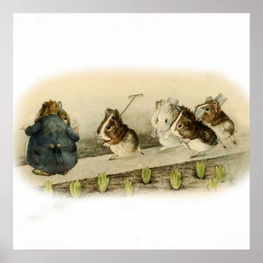 “Cavia Tuin” door Beatrix Potter Poster (Voorkant)