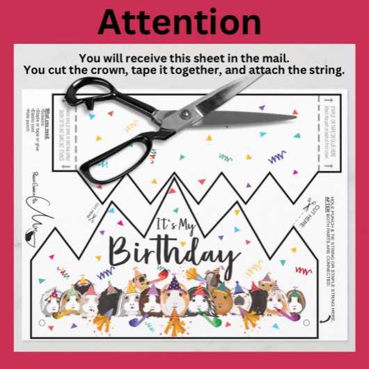 Cavia Verjaardagskroon