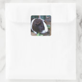 cavia vierkante sticker (Tas)