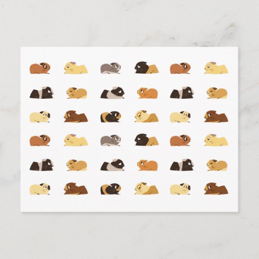 Cavia's Briefkaart (Voorkant)