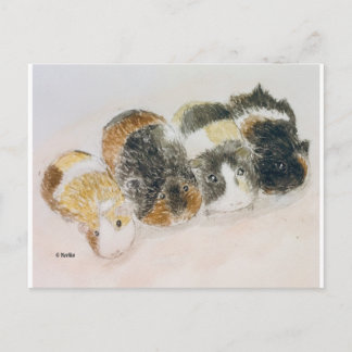 cavia's briefkaart