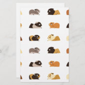 Cavia's Briefpapier (Voorkant / Achterkant)