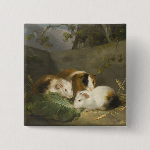 Cavia's (door George Morland) Vierkante Button 5,1 Cm