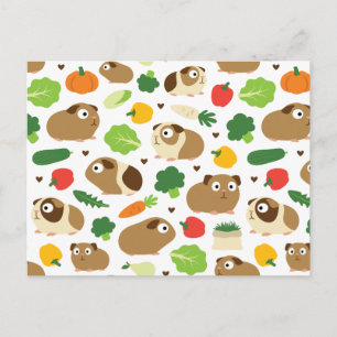 Cavia's en hun behandelingen briefkaart