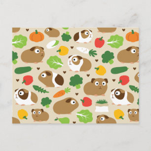 Cavia's en hun behandelingen briefkaart