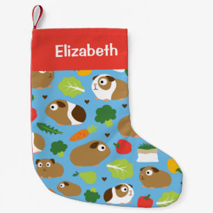 Cavia's en hun behandelingen zijn naadloos patroon kleine kerstsok