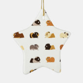 Cavia's Keramisch Ornament (Rechts)