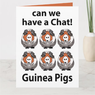 Cavia's Kunnen We Even Kletsen Grappige Cavia's Kaart