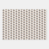 cavia's met een meisje inpakpapier vel (Voorkant)