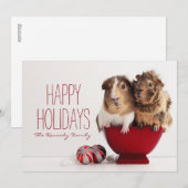 Cavia's met kerstbal feestdagenkaart (Voorkant / Achterkant)