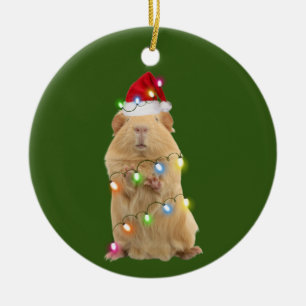 Cavia's met Pet kerst Keramisch Ornament