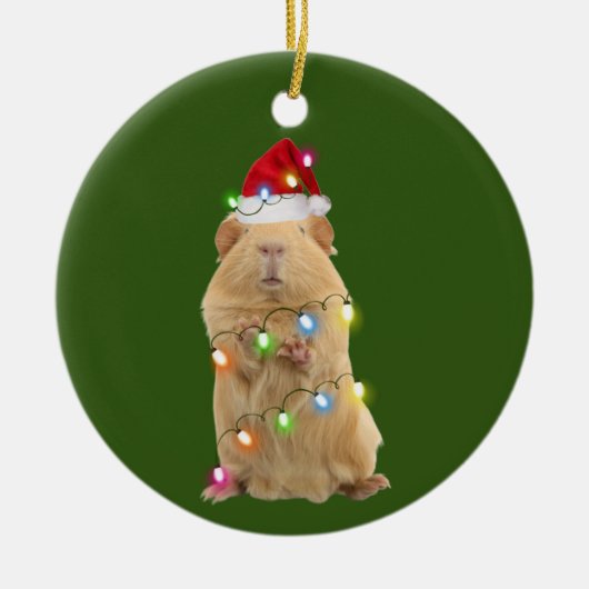 Cavia's met Pet kerst Keramisch Ornament (Voorkant)