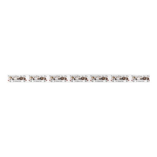 Cavia's Satin Ribbon Lint (Voorkant)