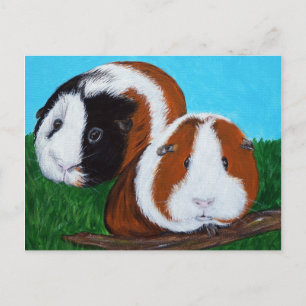 Cavia's schilderen briefkaart