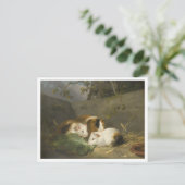 Cavia's schilderij van George Morland Briefkaart (Staand voorkant)