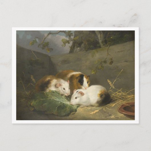 Cavia's schilderij van George Morland Briefkaart (Voorkant)