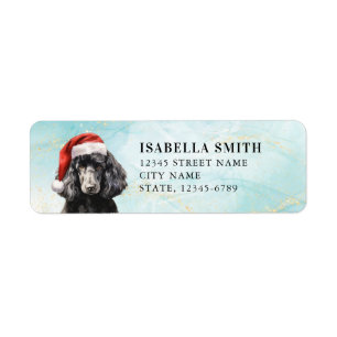 Cavoodle retouradreslabels etiket