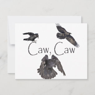 Caw Caw