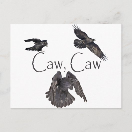 Caw Caw Briefkaart (Voorkant)