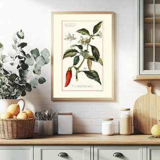 CAYENNE - BOTANISCHE ILLUSTRATIE UIT HET VERLEDEN POSTER