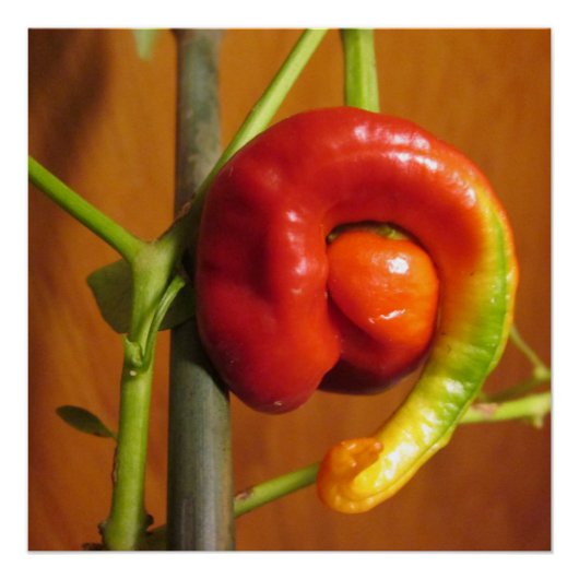 Cayenne Pepper Perfect Poster (Voorkant)