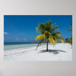 Cayo Blanco-strand in Cuba Poster