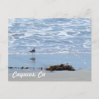 Cayucos Ca Briefkaart