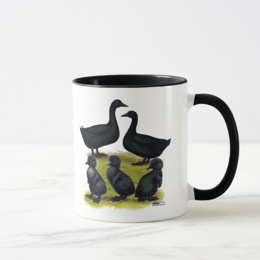 Cayuga Duck Familie Mok (Rechts)