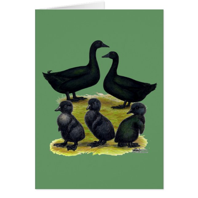 Cayuga Eendenfamilie (Voorkant)