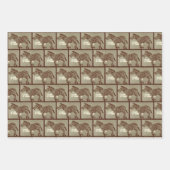 CBC 1966 - Natuur van de dingen Inpakpapier Vel (Voorkant)