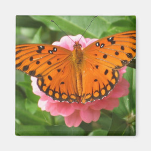 CC- Butterfly Magnet Magneet