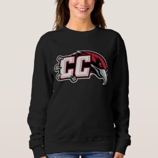 CC Thunderbird-logo Trui