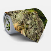 CCC Overlook Petit Jean Stropdas (Opgerold)