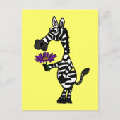 CD - Funny Zebra avec carte postale Daisy (Devant)