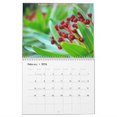 CdG 2010 Kalender (Feb 2026)