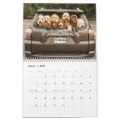Ce calendrier 2019 de peloton de Dood (Mar 2027)