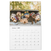 Ce calendrier 2019 de peloton de Dood (Jan 2027)