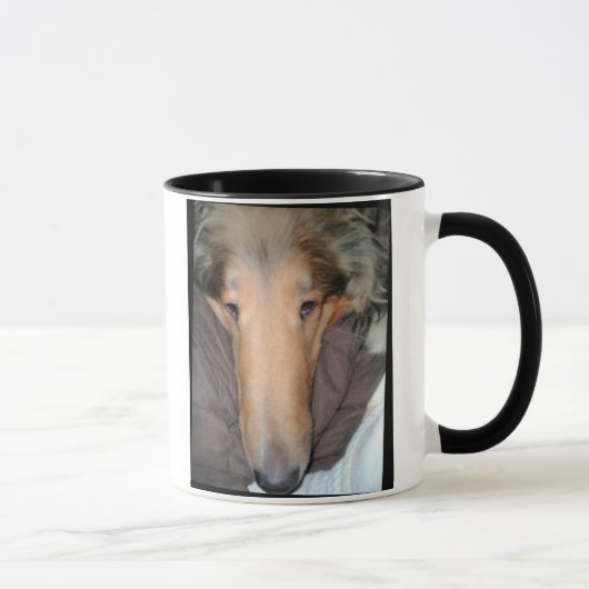 Ce Collie NOSE est une bonne tasse de... (Droite)
