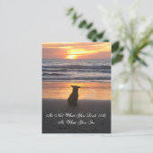 Ce n'est pas ce que vous regardez. c'est la carte (Debout devant)