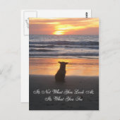 Ce n'est pas ce que vous regardez. c'est la carte (Devant / Derrière)