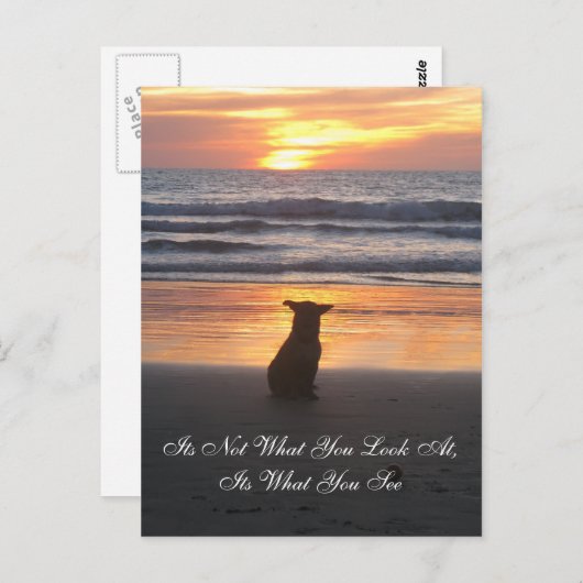 Ce n'est pas ce que vous regardez. c'est la carte (Devant / Derrière)