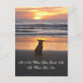 Ce n'est pas ce que vous regardez. c'est la carte (Devant)