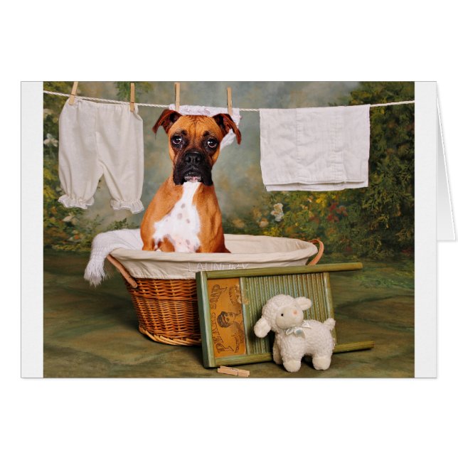 Ce n'est pas drôle (Devant horizontal)