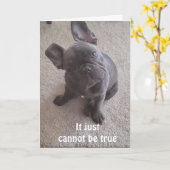 * CE N'EST TOUT SIMPLEMENT PAS VRAI** CARTE DE 40E (Fleur jaune)