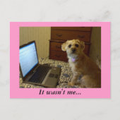 Ce n'était pas moi... Carte postale (Devant)