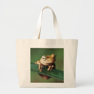 Ce petit sac de grenouille