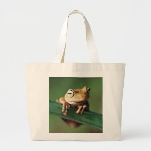 Ce petit sac de grenouille (Devant)