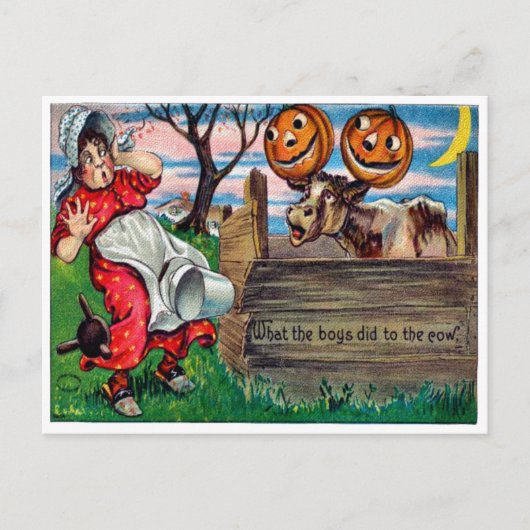 Ce Que Les Garçons Ont Fait À La Carte Postale Des (Devant)